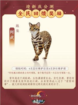 冰雪雄兵天龙八部私服